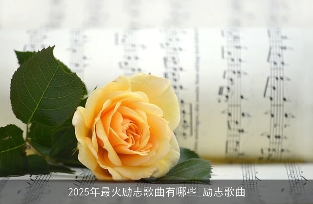 2025年最火励志歌曲有哪些_励志歌曲