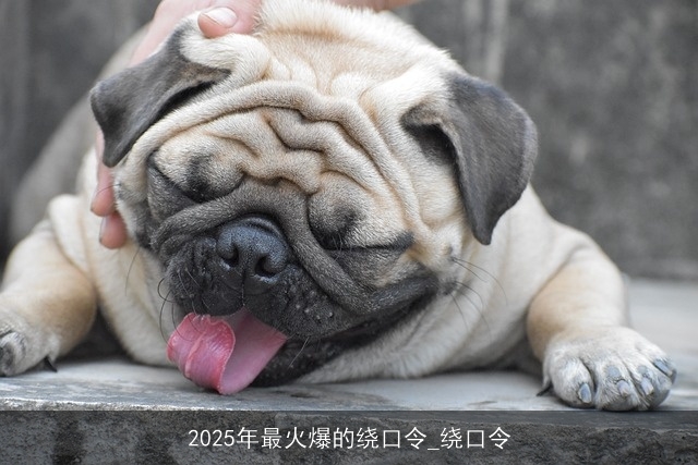 2025年最火爆的绕口令_绕口令