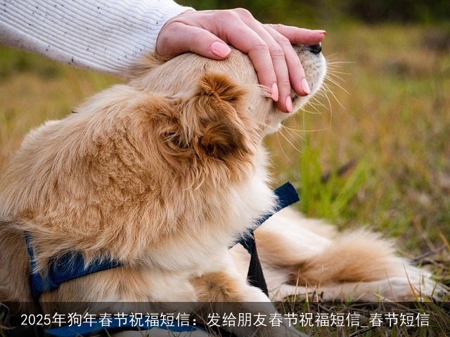 2025年狗年春节祝福短信：发给朋友春节祝福短信_春节短信