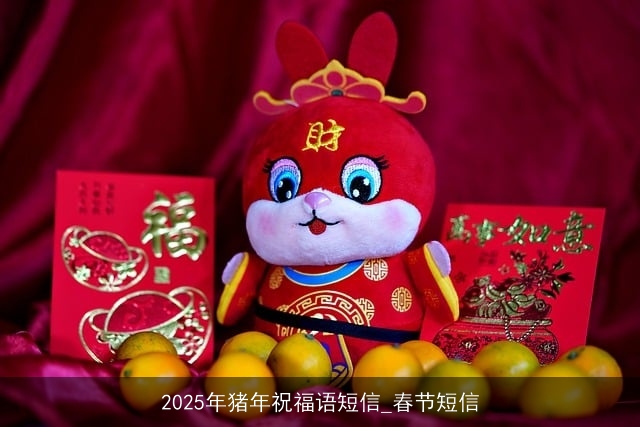 2025年猪年祝福语短信_春节短信