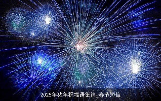 2025年猪年祝福语集锦_春节短信