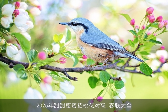 2025年甜甜蜜蜜招桃花对联_春联大全