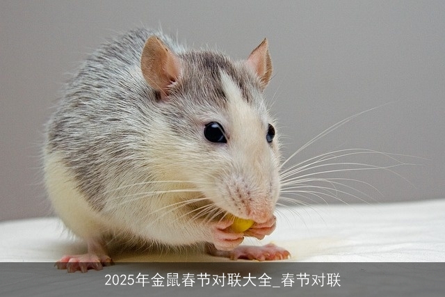 2025年金鼠春节对联大全_春节对联