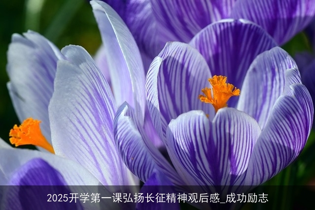 2025开学第一课弘扬长征精神观后感_成功励志