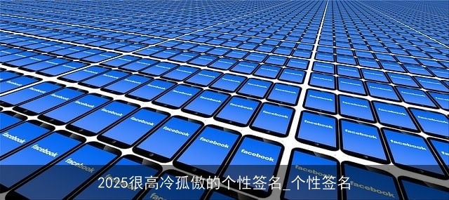 2025很高冷孤傲的个性签名_个性签名