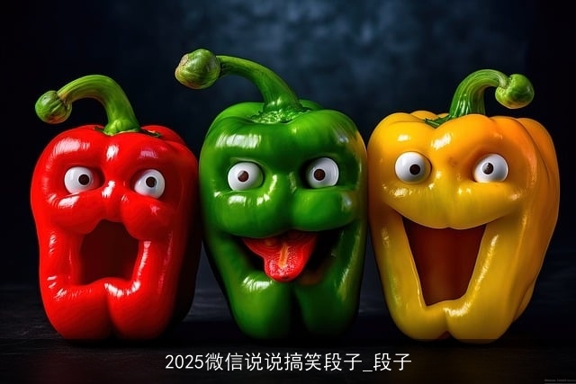 2025微信说说搞笑段子_段子