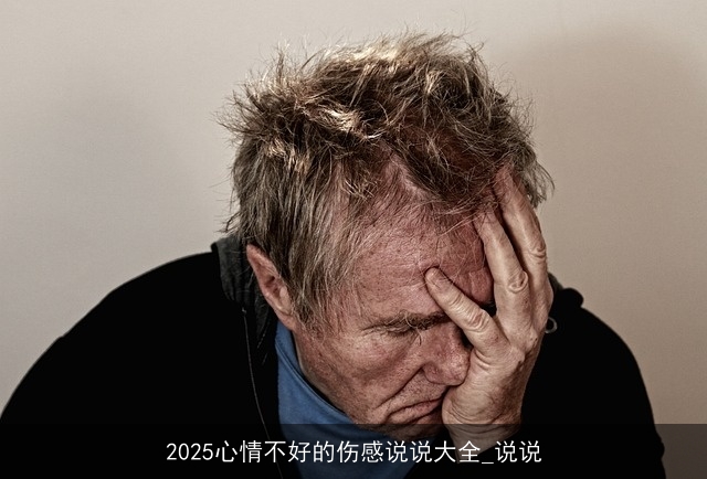 2025心情不好的伤感说说大全_说说