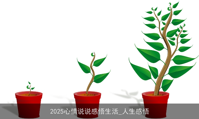 2025心情说说感悟生活_人生感悟