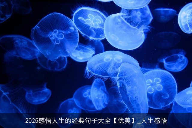 2025感悟人生的经典句子大全【优美】_人生感悟
