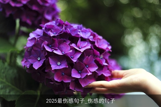 2025最伤感句子_伤感的句子