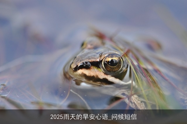 2025雨天的早安心语_问候短信