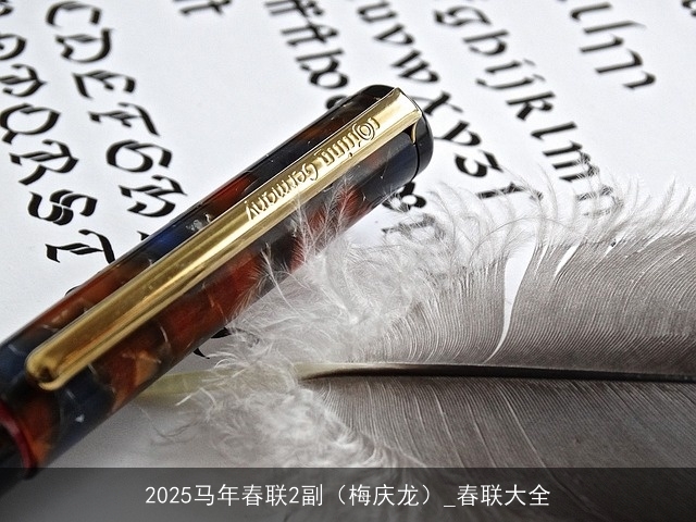2025马年春联2副（梅庆龙）_春联大全