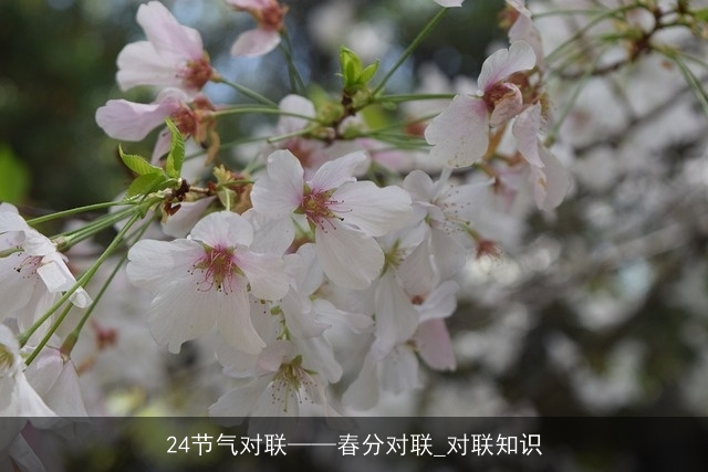 24节气对联——春分对联_对联知识