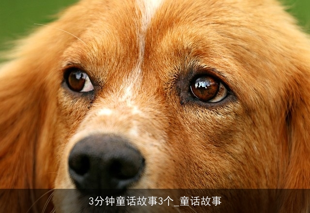 3分钟童话故事3个_童话故事