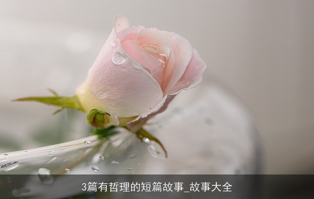 3篇有哲理的短篇故事_故事大全