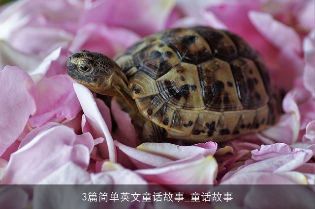 3篇简单英文童话故事_童话故事