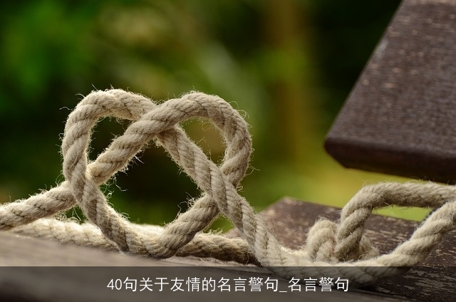 40句关于友情的名言警句_名言警句