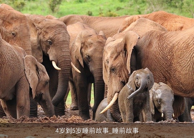 4岁到5岁睡前故事_睡前故事