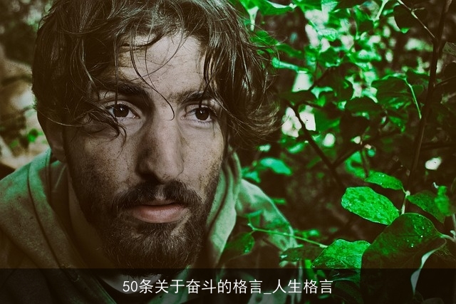 50条关于奋斗的格言_人生格言