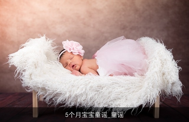 5个月宝宝童谣_童谣