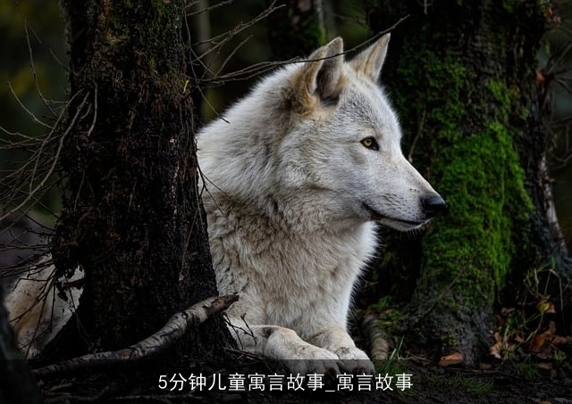 5分钟儿童寓言故事_寓言故事