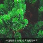 65道脑筋急转弯_经典脑筋急转弯