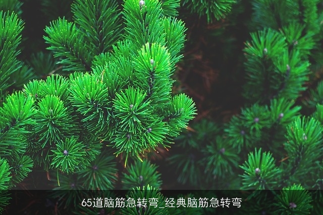 65道脑筋急转弯_经典脑筋急转弯