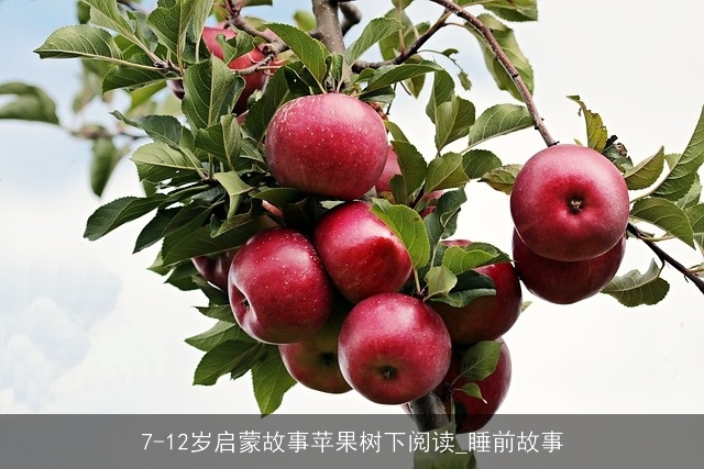 7-12岁启蒙故事苹果树下阅读_睡前故事