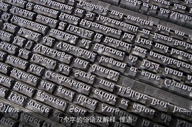 7个字的俗语及解释_俚语