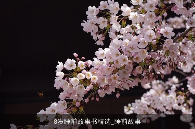 8岁睡前故事书精选_睡前故事