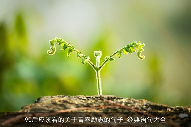 90后应该看的关于青春励志的句子_经典语句大全