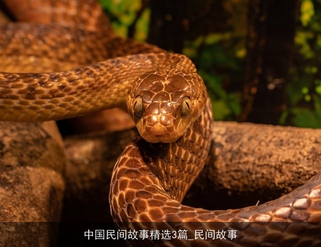 中国民间故事精选3篇_民间故事