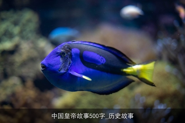 中国皇帝故事500字_历史故事