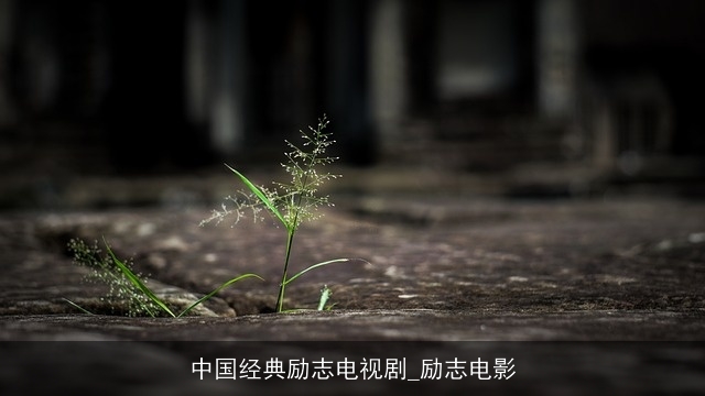 中国经典励志电视剧_励志电影