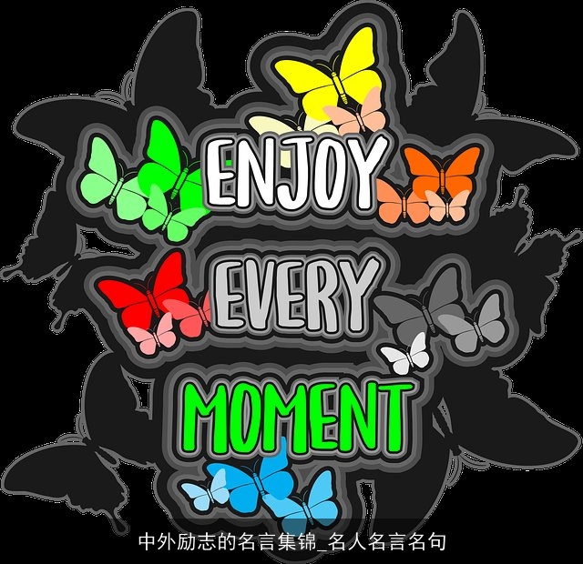 中外励志的名言集锦_名人名言名句