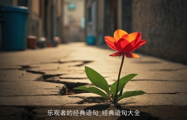 乐观者的经典语句_经典语句大全