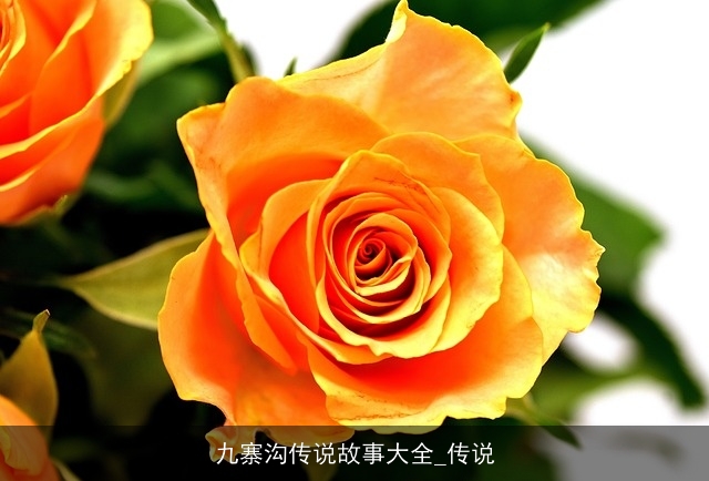 九寨沟传说故事大全_传说