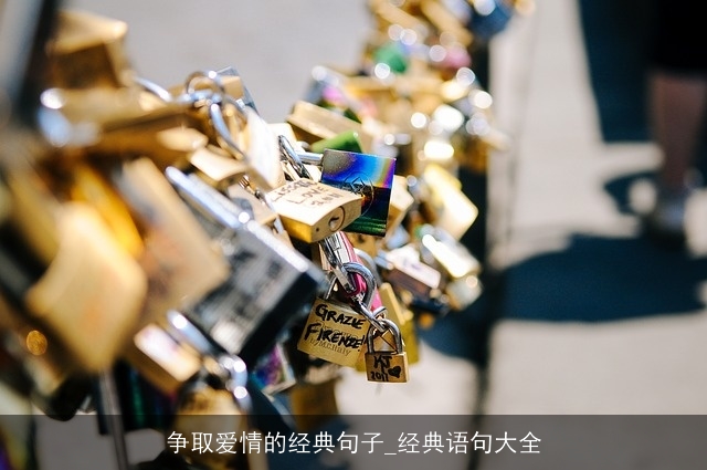 争取爱情的经典句子_经典语句大全