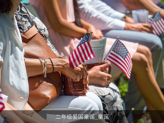 二年级爱国童谣_童谣