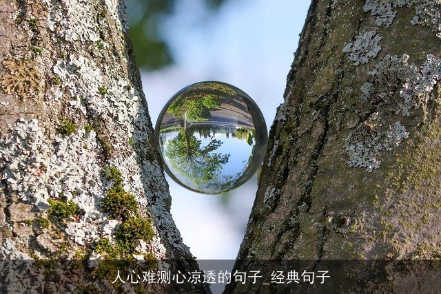 人心难测心凉透的句子_经典句子