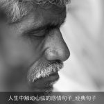 人生中触动心弦的感悟句子_经典句子