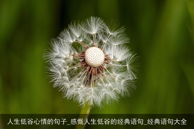 人生低谷心情的句子_感慨人生低谷的经典语句_经典语句大全