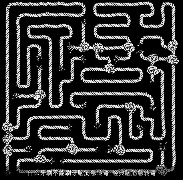 什么牙刷不能刷牙脑筋急转弯_经典脑筋急转弯