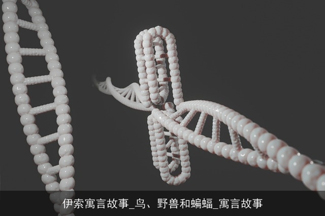 伊索寓言故事_鸟、野兽和蝙蝠_寓言故事