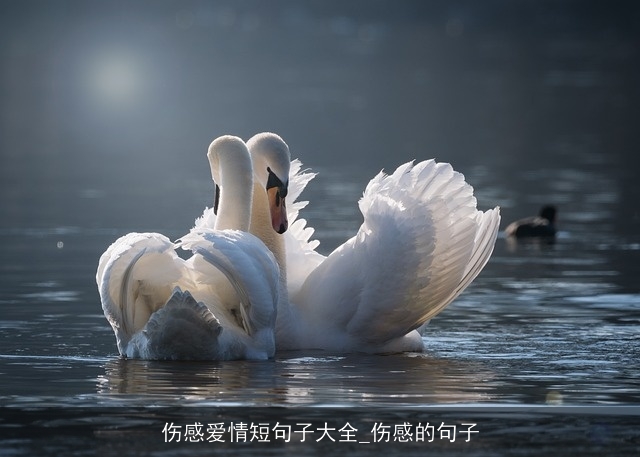 伤感爱情短句子大全_伤感的句子