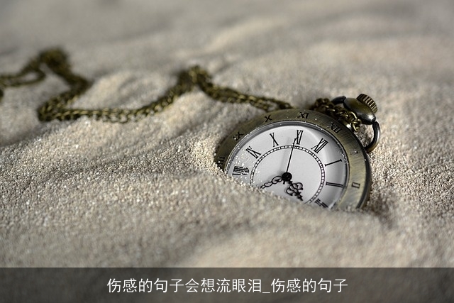 伤感的句子会想流眼泪_伤感的句子