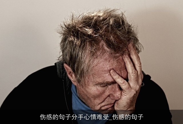 伤感的句子分手心情难受_伤感的句子