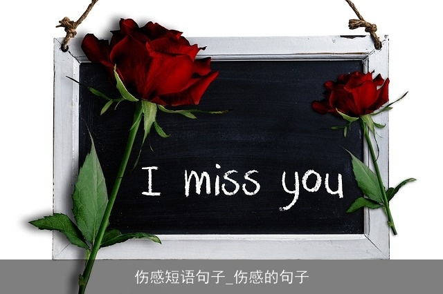 伤感短语句子_伤感的句子