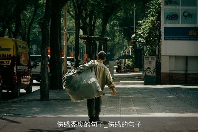 伤感秃废的句子_伤感的句子