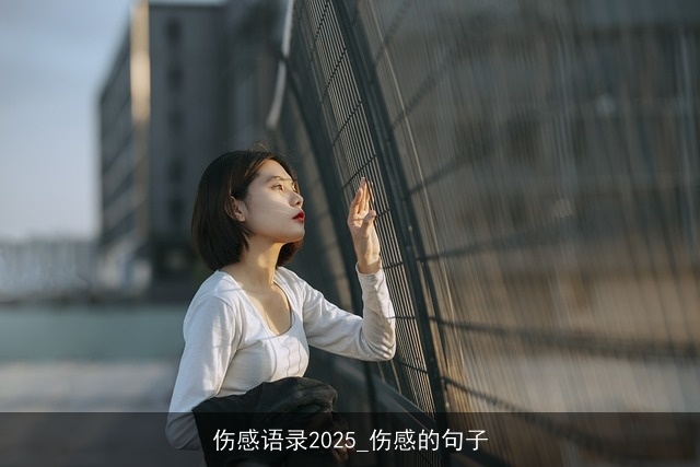 伤感语录2025_伤感的句子